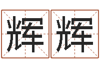 张辉辉四柱八字的喜用神-黄宝宝起名字