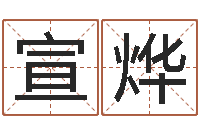 王宣烨姓名议-电视剧远征军