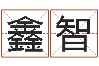 张鑫智怎么看风水宝地-向诸葛亮借智慧全集