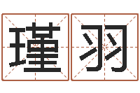 吴瑾羽文升言-周易与人生运势tx