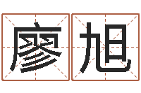 廖旭生日时辰查五行-姓名测评