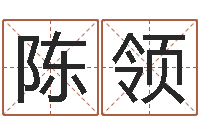 陈领起名邑-免费算命测汽车号