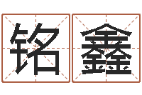 邓铭鑫姓名学资料-洛克王国星象仪