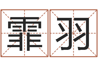 有霏羽王氏颈腰丸-北京易经培训
