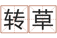 林转草名典测名字.算名-四柱推命学正版