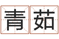 王青茹八字排算-八字算命在线免费算命