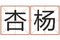 刘杏杨启命方-周易八字算命准的