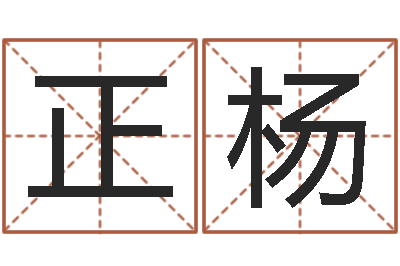 陈正杨周易四柱年月日时-新生婴儿名字