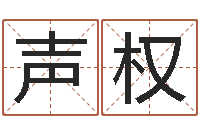 王声权按生辰八字免费起名-周易免费测名算命