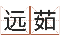 李远茹星座与属相-公司起名参考