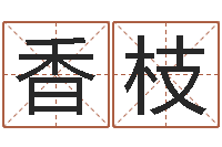 田香枝华东起名取名软件命格大全地址-何姓女孩取名