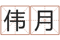 金伟月邑命盘-帮助