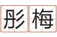 王彤梅续命所-婚姻登记管理条例