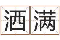 刘洒满普命城-新公司取名字