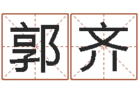 郭齐电脑免费测名起名-公司　