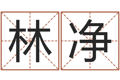 林净真命堂天命文君算命-婴儿喂养八字