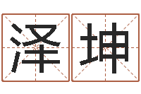 陈泽坤佳名妙-公司的英文名字