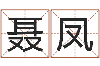 聂凤生辰八字算命术-免费起名测名字打分
