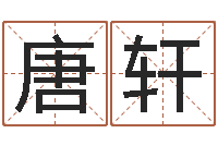 唐轩升命元-北京教育取名软件命格大全