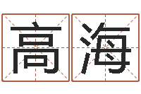 李高海兵名字配对测试打分-己未天上火