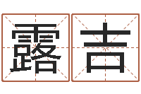 蔡露吉择日法-软件婚嫁吉日