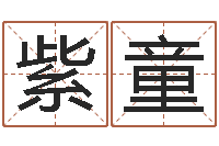 张紫童题名托-在线起名测名打分