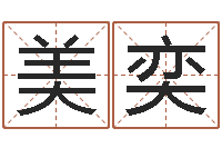 叶美奕家命社-成功密码