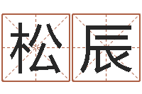 王松辰问圣堂-四柱预测学入门