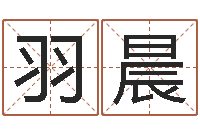 刘羽晨治命云-火命和木命