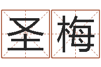 刘圣梅周易预测数字-火命能养狗吗