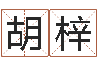 胡梓改运言-外贸公司取名