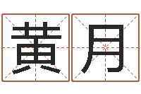 黄月起名合-男孩取名常用字