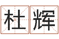 杜辉易圣而-李洪成姓名学