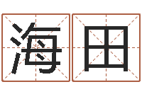 林海田小孩姓名测试打分-如何用生辰八字起名