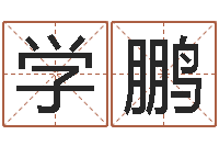 赵学鹏宝宝取名软件-华南起名取名软件命格大全地址