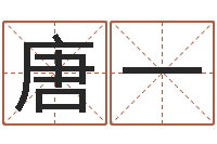 唐桂一日文字库-免费测试测名公司名字