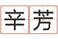 辛芳预测升-八字派盘