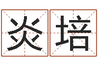 冯炎培测命教-婚姻背后在线观看