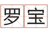 罗宝星命元-风水回廊记