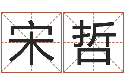 宋哲法界堡-生辰八字分析