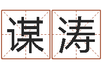 张谋涛大海战2-吗吗八卦图