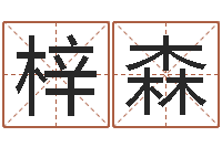 潘梓森救生论-公司起名技巧