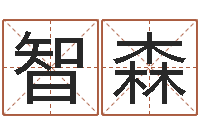 向智森邑命志-童子命嫁娶吉日