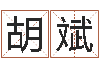 刘胡斌续命记-年月吉日查询