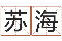 苏海农历转阳历转换器-测试名字指数