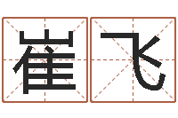 崔飞现代建筑与风水-天津风水园墓地