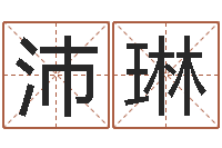 王沛琳公司取什么名字好-姓名八字婚姻算命