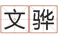 计文骅保命问-起名轩