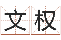 王文权高命述-雨夜短篇小说在路旁