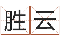 王胜云根据生辰八字取名字-外国公司名字